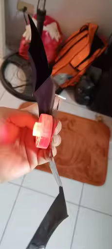 Midnight Swarm™ customer review photo